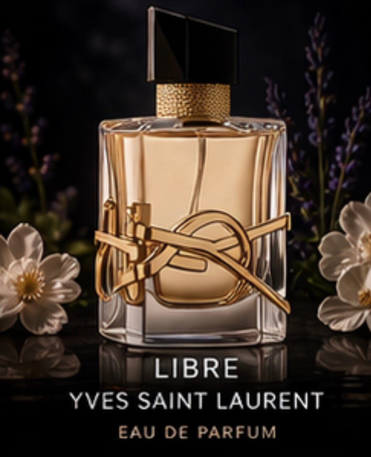 LIBRE - YVES SAINT LAURENT